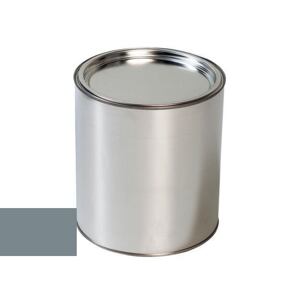 Lakier samochodowy do pistoletu Renault KNE Gris