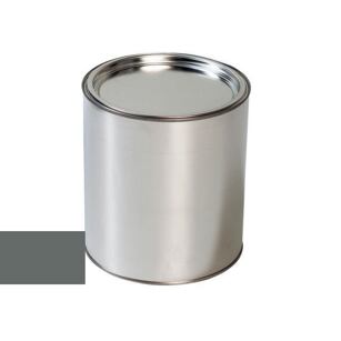 Lakier samochodowy do pistoletu Renault 658 GRIS PASTEL