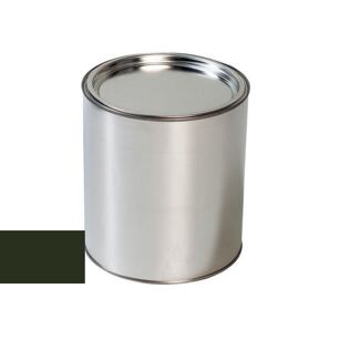 Lakier samochodowy do pistoletu Ford XKS GREY OLIVE RAL6006