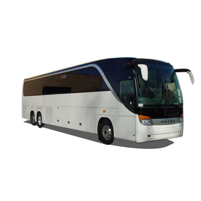 Lakier samochodowy w sprayu Setra BUS R.72846.2 LECHLER-ELFENBEIN 16151