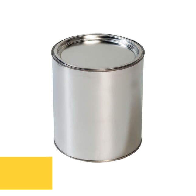 Lakier samochodowy do pistoletu Ford ZINCYELLOW ZINC YELLOW