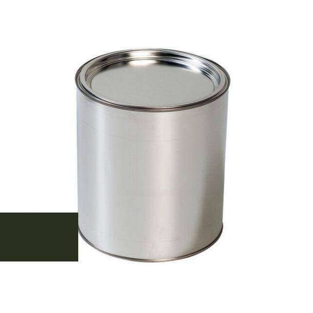 Lakier samochodowy do pistoletu Ford XKS GREY OLIVE RAL6006